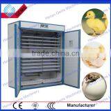 new type quail egg incubator for sale