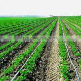 Irrigation Dripper Better Quality Than Eurodrip Inline Flat Dripper Type Water Irrigation Pipe Making Machine thumbnail-1