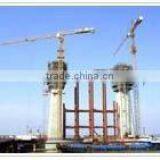 P300(SCM)tower Crane thumbnail-1