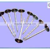 Umbrella Head Roofing Nails and Construction Nails thumbnail-1