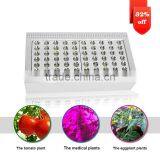 Vegetabled Led Light 300w Led Grow Led Plant Light 400w Led Grow Light 400w Led Grow Light for Flower thumbnail-2