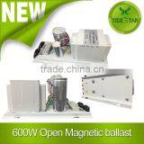 Hydroponics 600w Magnetic Ballast/grow Light Magnetic Ballast thumbnail-1