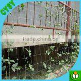 Heavy Duty Long-lasting Flexible Trellis Netting Polyester Net Plant Support Net thumbnail-5