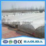 Galvanized Steel Framework Vegetable Used Green House For Sale thumbnail-4