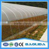 Hot Sale Poly Tunnel Greenhouse for Sale thumbnail-3
