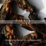 Pet Food Fish Food Freeze Dried Crickets thumbnail-1