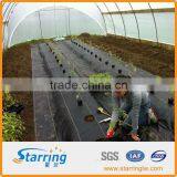 PP Agriculture Mulching Woven Film for Landscape and Weed Control thumbnail-1
