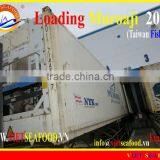 LOADING MUROAJI FOR TUNA BAIT thumbnail-1