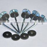 Rubber Washer Roofing Nails thumbnail-3