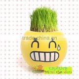 Mini Garden Growing Grass Hair Toy Growing Grass Head Toys 002-2(ceramic Colour Glaze) thumbnail-1