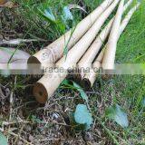 Thick Wall and Strong Tonkin Bamboo Canes for Supporting Plants at Cheap Price thumbnail-6
