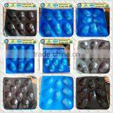 SGS/China Supplier Supermarket Displaying Fruit Tray