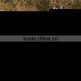 2015 New Baby Girls July 4th Chevron Star Outfits Top Set Outfits With Matching Necklace and Bow thumbnail-2