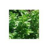 Chlorophylls thumbnail-1