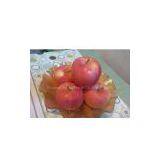 Top Qulaity Fuji Apples thumbnail-1