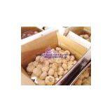 Chinese White Garlic thumbnail-1