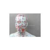 50 cm PVC Acupuncture Model Male of Acupuncture Model for Full Body Male for Acupuncture Point Study thumbnail-2