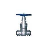 Sell Class 2500 Cast Steel Gate Valve