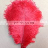 fast shipping red ostrich feather from south Africa