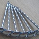 wholesale hot-selling cgalvanized roofing nails