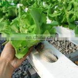 Agricultural Greenhouse Hydroponic Channels Set Hydroponic Growing Systems