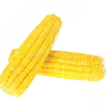 Isomalto-oligosaccharide 900 Syrup thumbnail-1