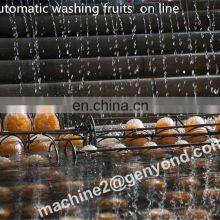 New Listing Fruit and Vegetable Cutting Washing Machine Vegetable Processing Line In the Field of Food Machinery thumbnail-5