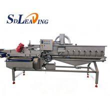 Vegetable and Fruit Automatic Bubble Vortex Vegetable Washing Machine Citrus Washing Machine