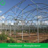 Cheap Insect Proof Net Greenhouse