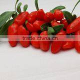 Ningxia Wolf Berry thumbnail-1