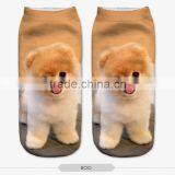 Fashion Cute Puppy Wear High Quality 3d Digital Full Print Colorful Ankle Socks Sports Unisex Custom Hot Sale Stretch Spandex thumbnail-2