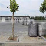 Qingdao Develop Import & Export Co., Ltd. company overview - view 1 thumbnail