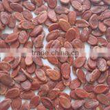 Red Water Melon Seeds New Crop thumbnail-3