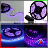 365-405nm UV Led Strip 5050, Black Light UV Strip Led,UV Led Rope Light thumbnail-3