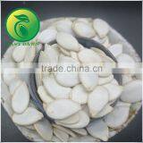 Hot Sale Snow White Pumpkin Seeds 13cm thumbnail-3