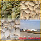 SNOW WHITE PUMPKIN SEEDS thumbnail-4