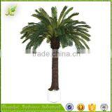 Hot Sale Oranmental Artificial Cycas Revoluta Tree for Sale From China thumbnail-6