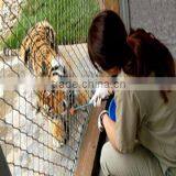 Stainless Steel Animal Enclosure