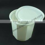 Disposable Food Container thumbnail-4