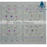 Microscope Slides With 4 Specimen on 1 Slide thumbnail-1