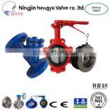 Hot Sale (wafer & Lug) Butterfly Valve, Check Valve & Y Strainer thumbnail-1