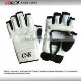 Taekwondo Hand Protector