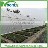 Greenhouse Film thumbnail-6