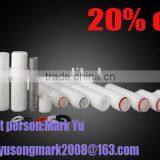 100% integrity test pes filter cartridge for beverage