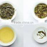 Antioxidant Chinese White Tea Benefits thumbnail-3