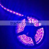 12V LED Strip Light SMD 5050 STRIP LED LIGHT thumbnail-5