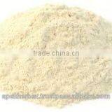Banana Pulp Powder / Spray Dried Banana Powder / Powder of Banana