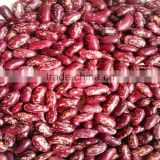 JSX premium quality speckled beans china supply food grade wholesale pinto bean