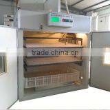 Electronic Snake Herp Nursery Egg Incubator