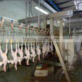 New Condition Chicken Slaughter House Line
